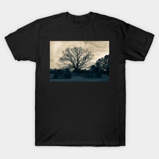 Black and White Graveyard T-Shirt